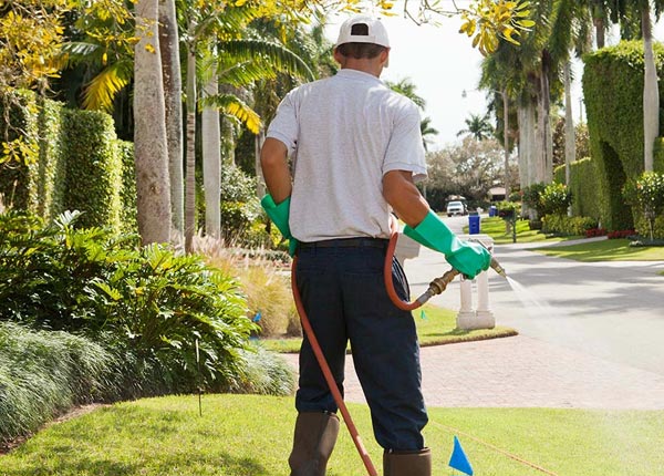 About Elk Falls KS Pest Control